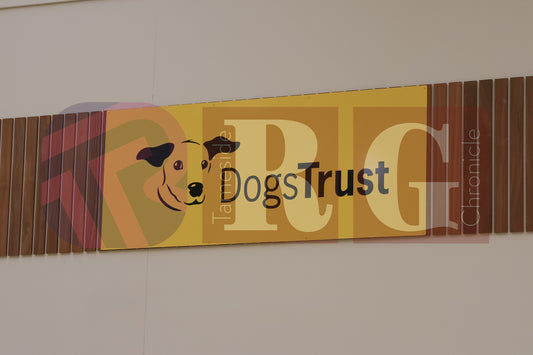 DOG TRUST DENTON JUMPER EVENT (3).JPG