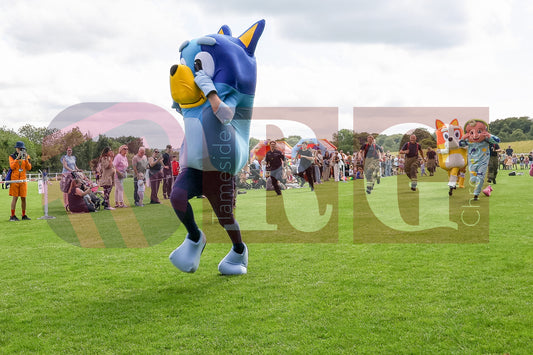 TINTWISTLE CHIDREN'S GALA  (102).JPG