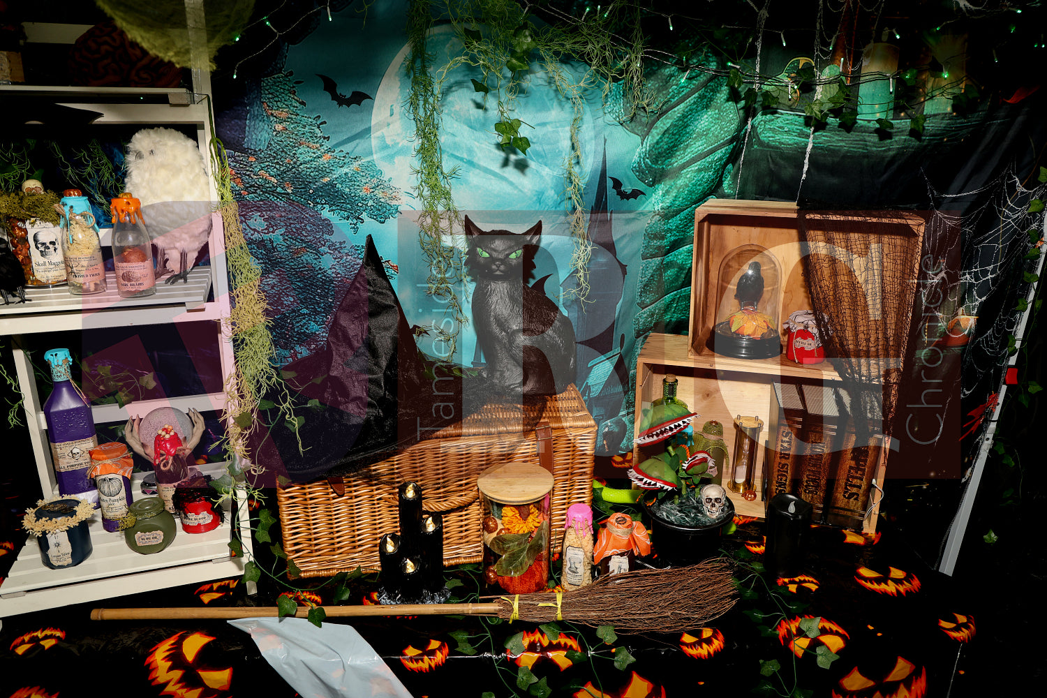 PIRATES OF THE HALLOWE'EN' HADFIELD (63).JPG