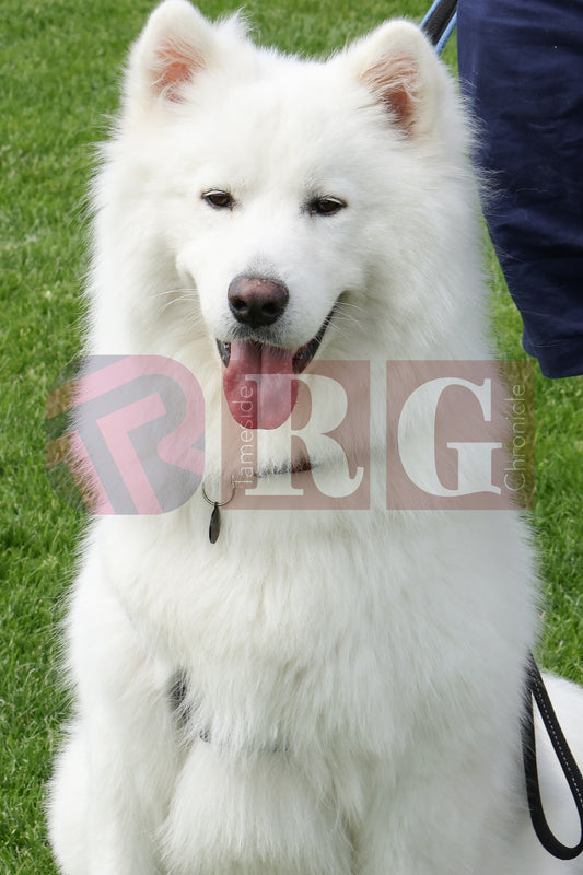 TINTWISTLE CHIDREN'S GALA  (63).JPG