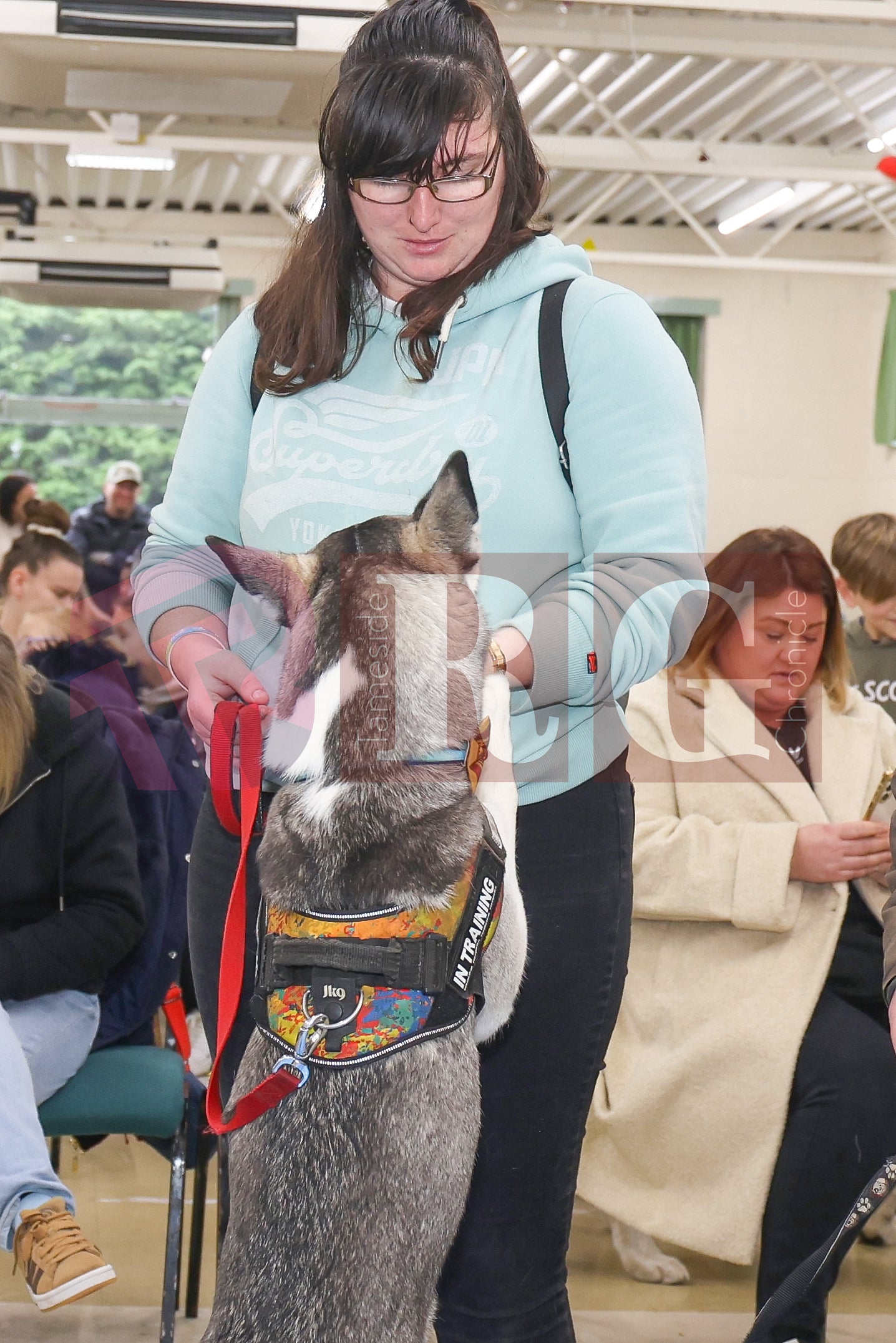 CRIMEWATCHERS DOG SHOW ST MARTINS CHURCH DROYLSDEN  (70).JPG