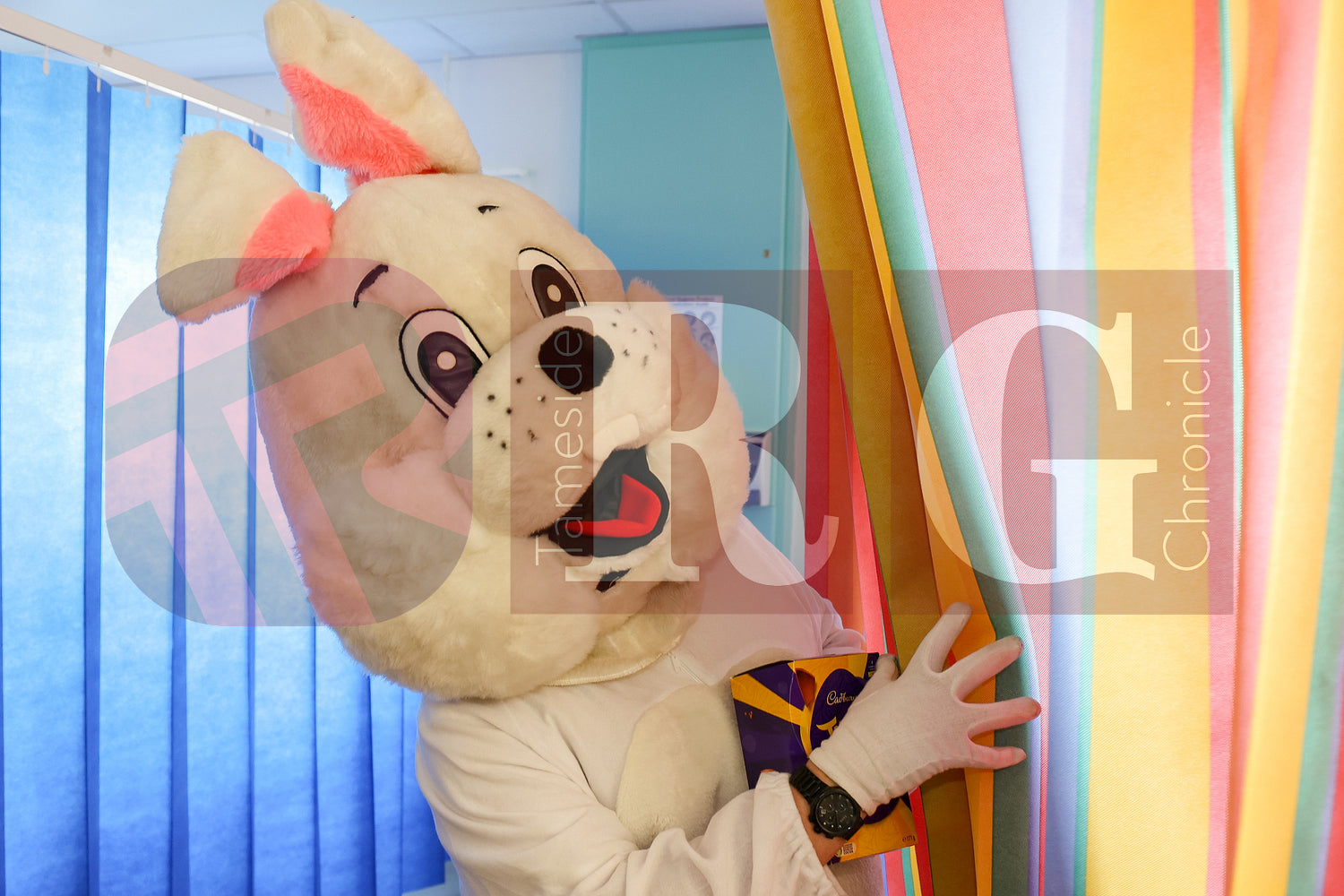 TAMESIDE HOSPITAL CHILDRENS WARD EASTER STAGECOACH (39).JPG