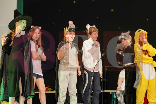 STALYBRIDGE CIVIC HALL SCHOOL PANTOMIME (71).JPG