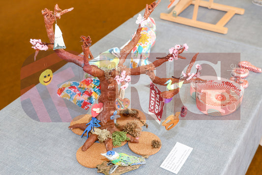 VICTORIA HALL ART GALLERY 2025 (31).JPG