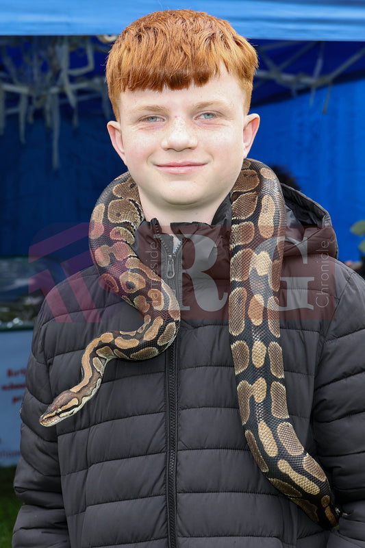 FESTIVAL ON THE GREEN 2025 (44).JPG