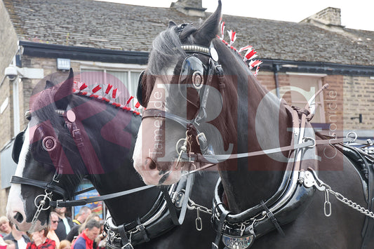 GLOSSOP HERITAGE WEEKEND SAT 1st JUNE 2024  (217).JPG