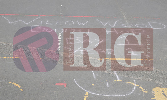 DOWSON PRIMARY BUNNY HOP WILLOW WOOD (12).JPG