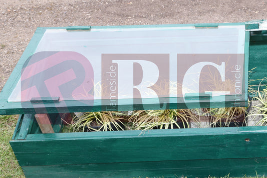 WATERLOO PARK BRITAIN IN BLOOM 2025 (9).JPG