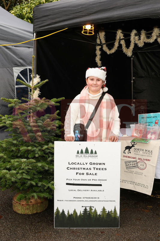 OLD GLOSSOP XMAS  MARKET 2025 (3).JPG