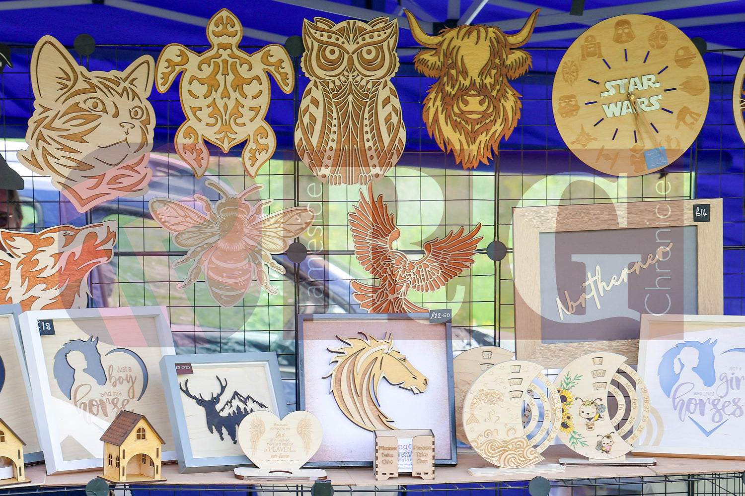 STALYBRIDGE SPRING SHOW (50).JPG