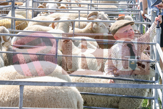 MOTTRAM SHOW  2025 (34).JPG