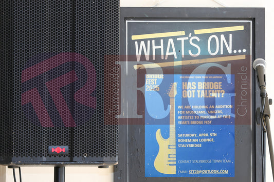 BRIDGE GOT TALENT AUDITIONS 2025 (2).jpg