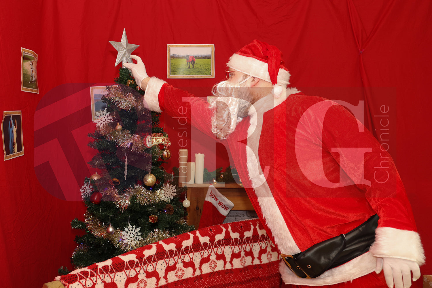 DOG TRUST DENTON XMAS (25).JPG