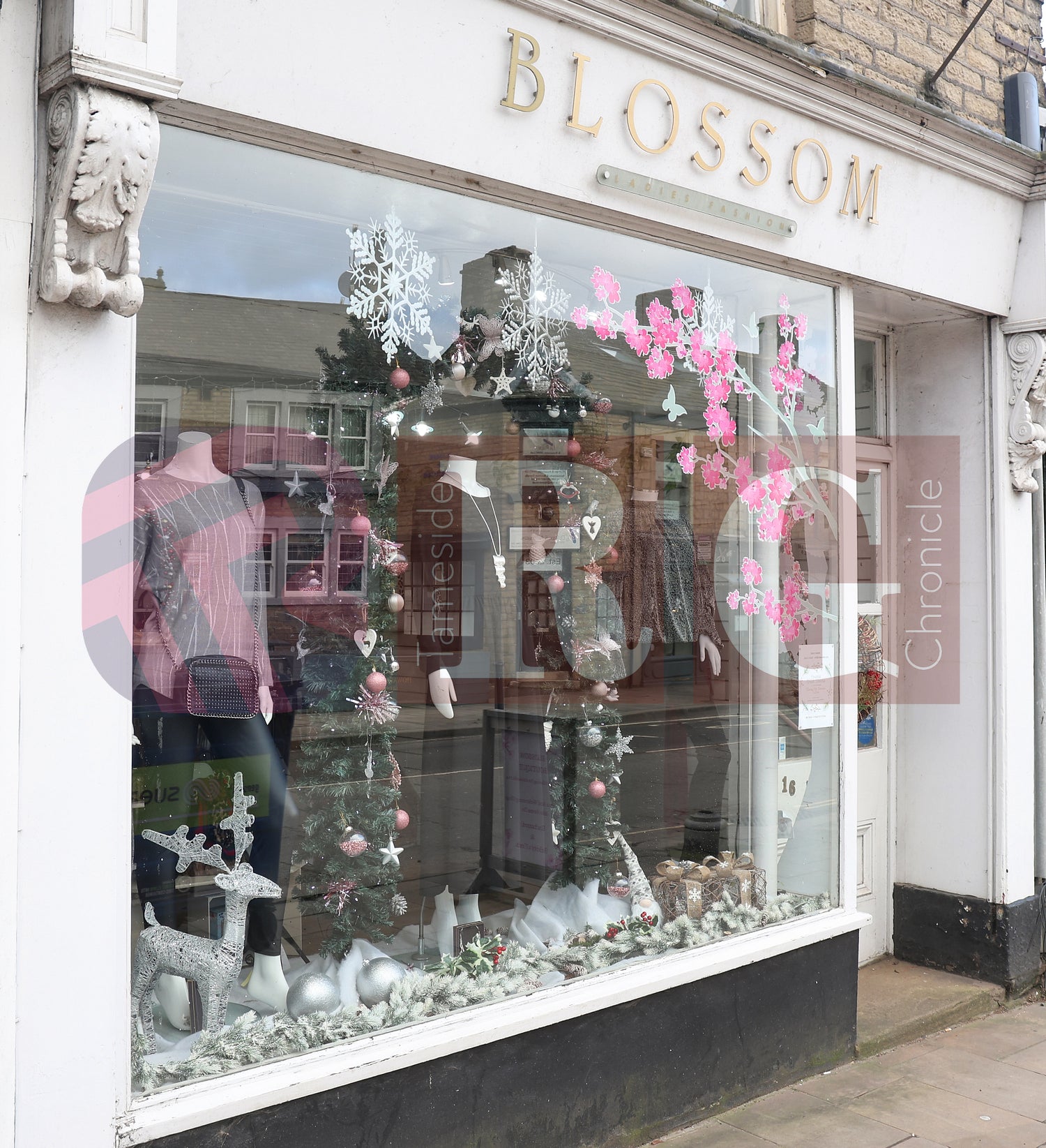 GLOSSOP SHOP XMAS WINDOWS 2024 (24).JPG