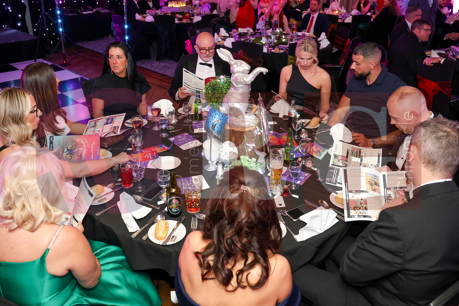 PURPLE HEART WISHES WONDERLAND BALL (65).JPG