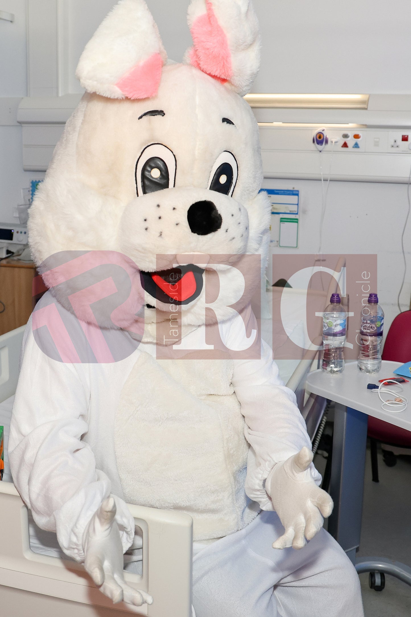 TAMESIDE HOSPITAL CHILDRENS WARD EASTER STAGECOACH (28).JPG