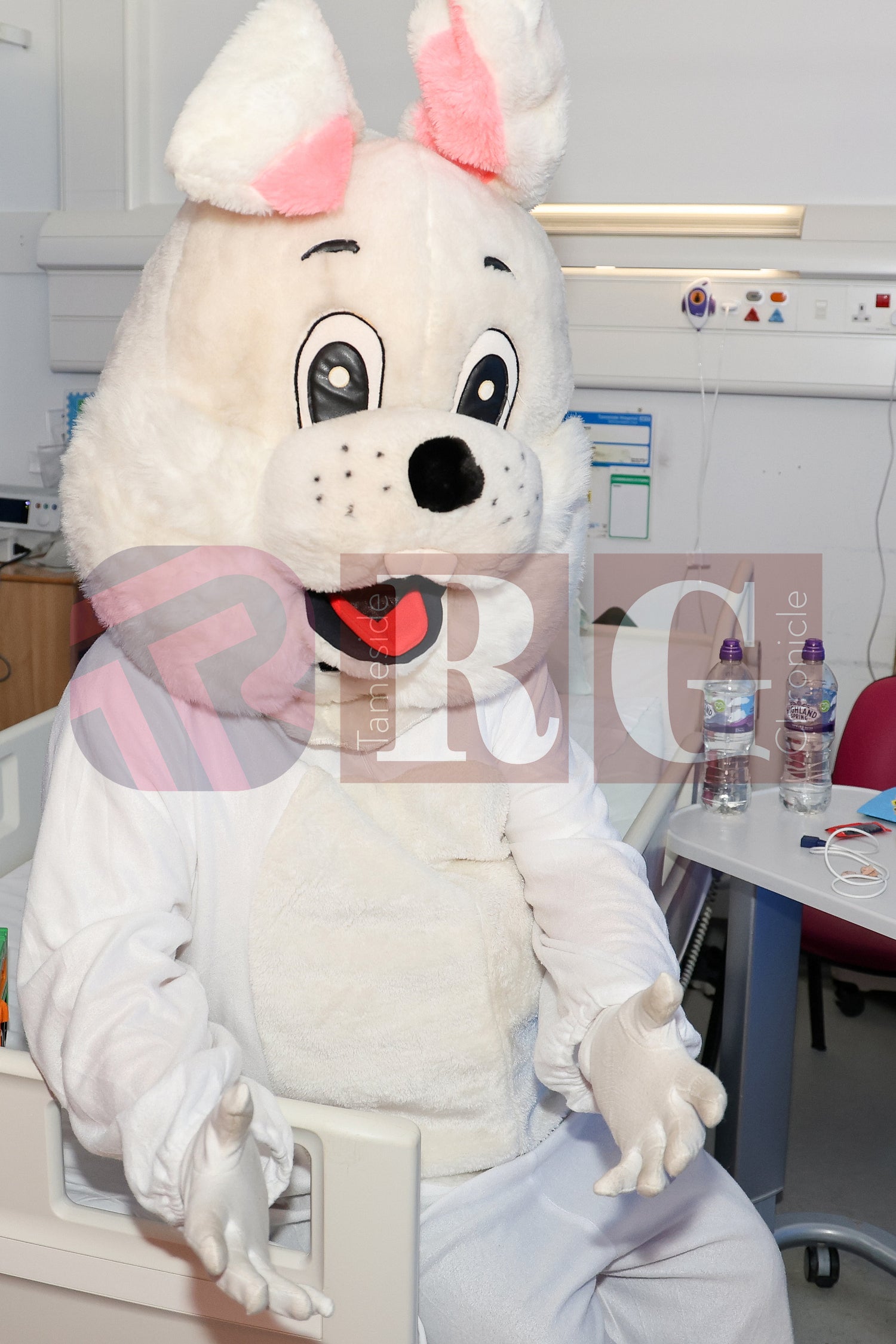 TAMESIDE HOSPITAL CHILDRENS WARD EASTER STAGECOACH (28).JPG