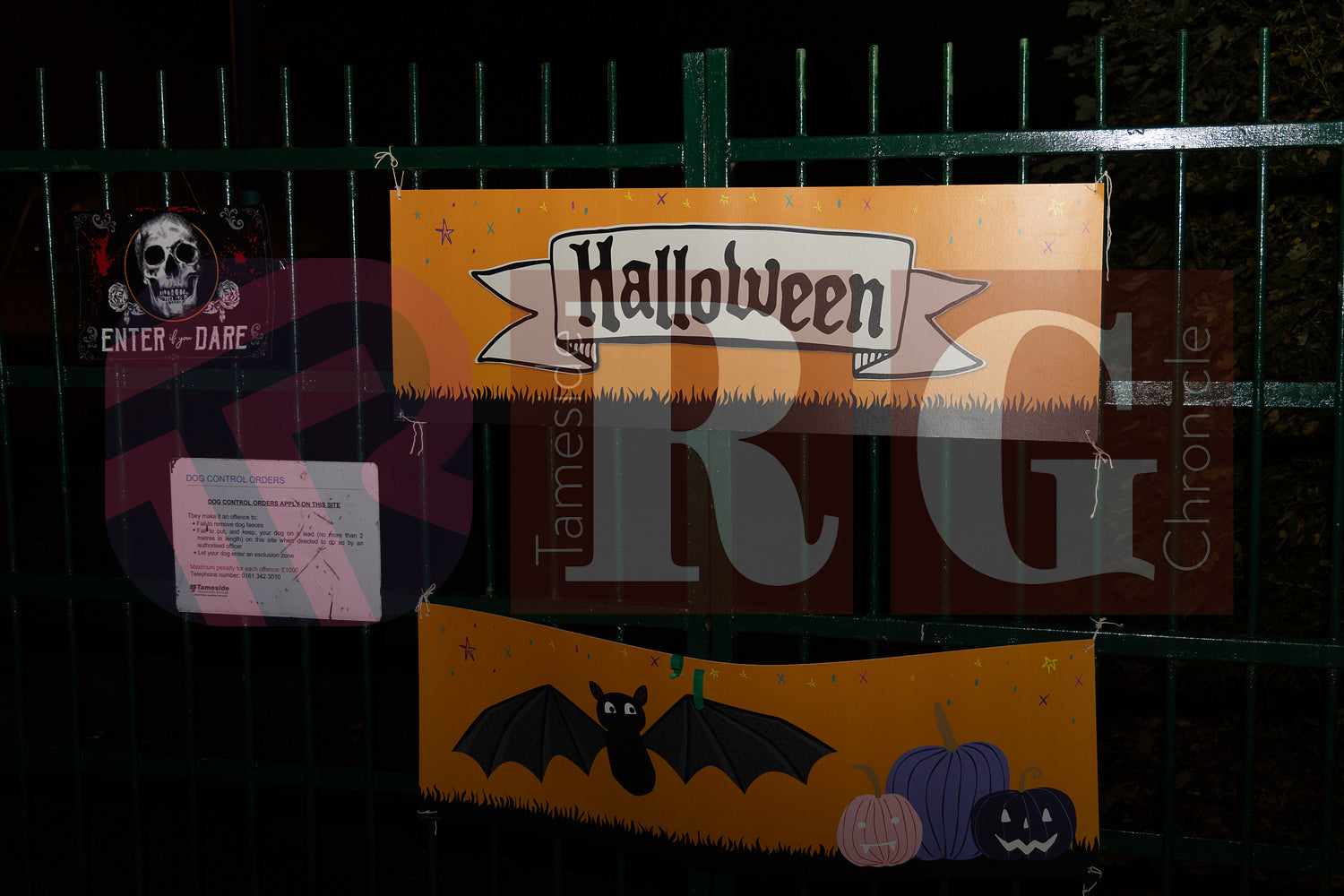 WATERLOO PARK  ASHTON HALLOWEEN  (1).JPG