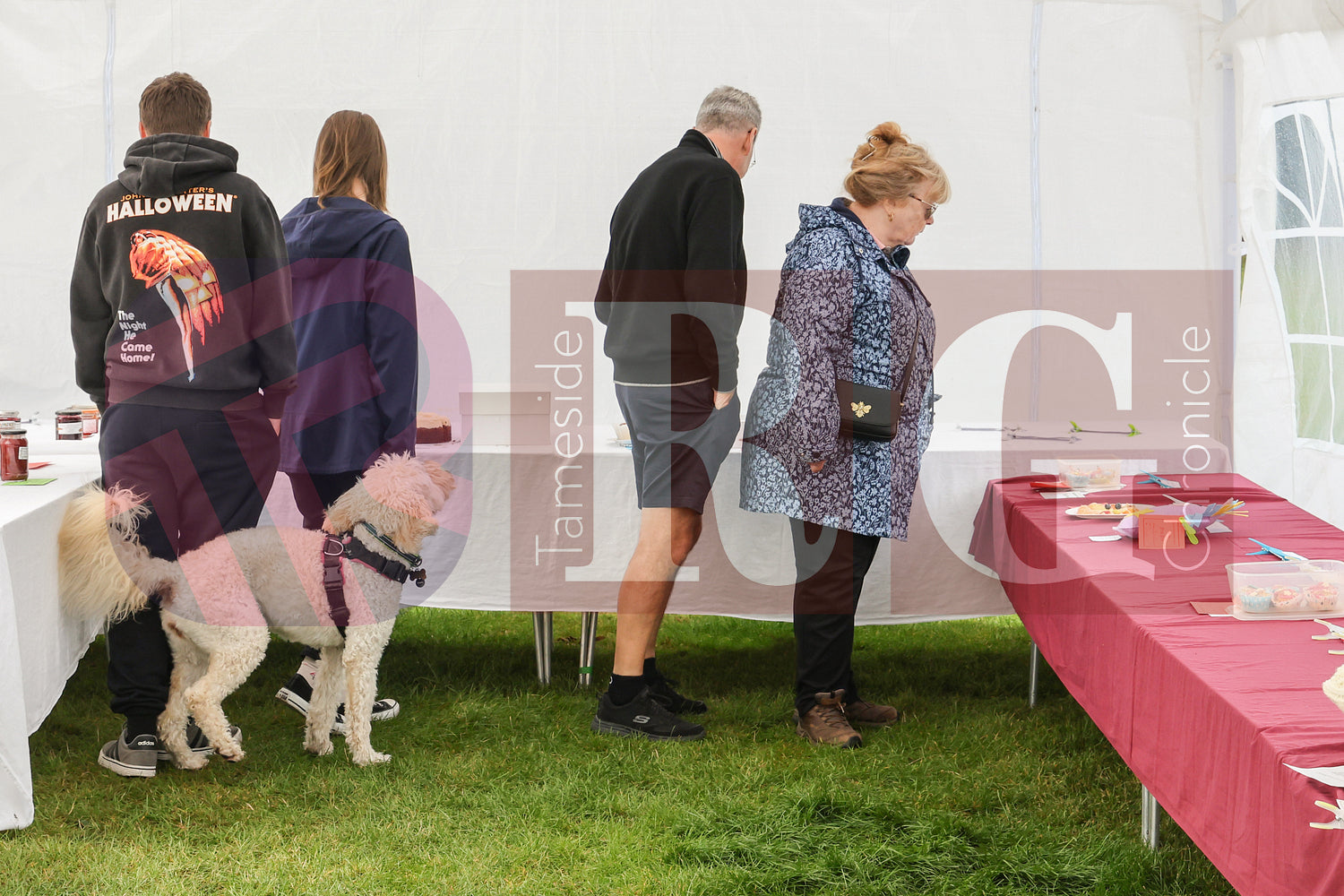 TINTWISTLE GARDENERS SHOW (63).JPG