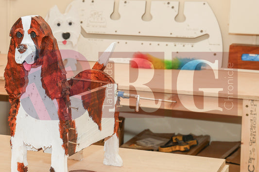 THE SHED 2025 (45).JPG