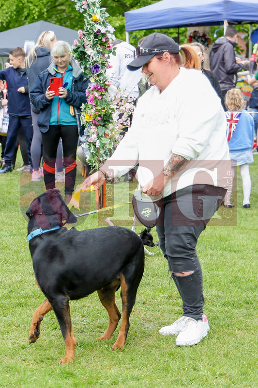 STALYBRIDGE SPRING SHOW (93).JPG