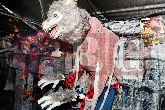 PIRATES OF THE HALLOWE'EN' HADFIELD (14).JPG