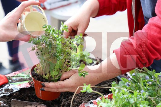 PLANT & SWAP EVENT TESCO STALYBRIDGE 2025 (17).JPG
