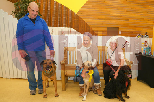 DOG TRUST DENTON XMAS (65).JPG