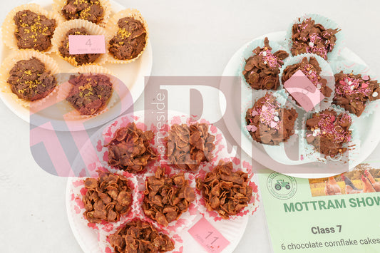 MOTTRAM SHOW  2025 (21).JPG