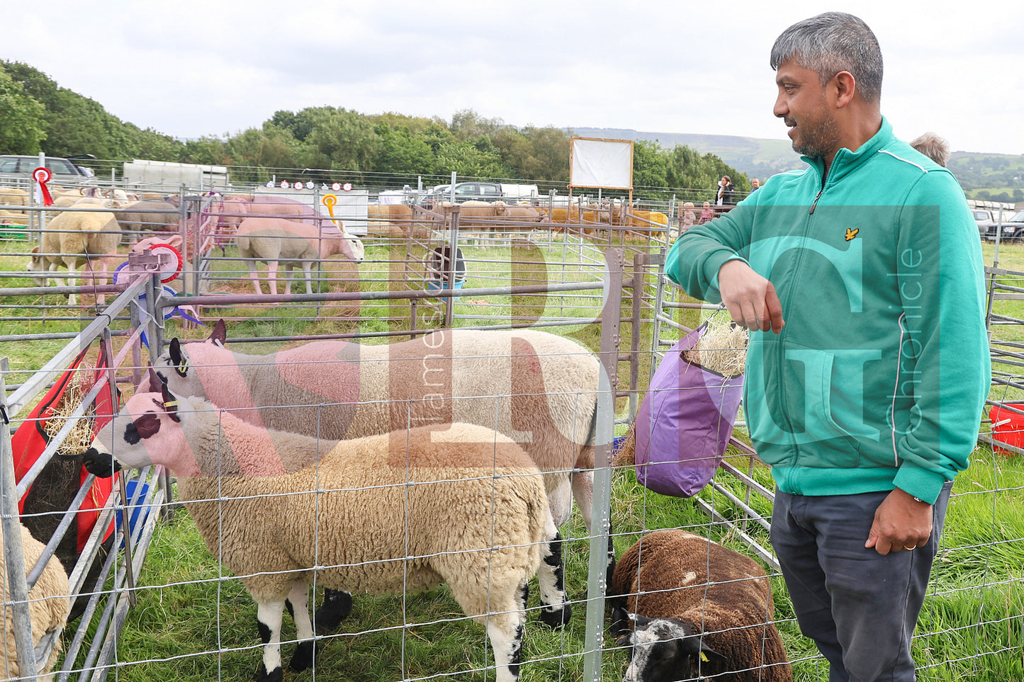 MOTTRAM SHOW 2024 (127).JPG