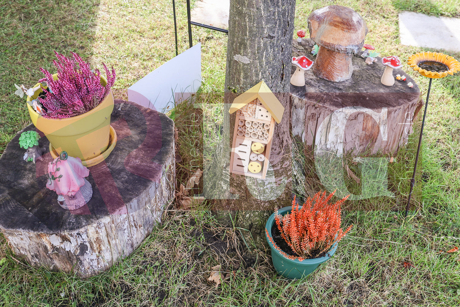 THE PANTRY OPENING SUNFLOWER DAY NURSERY (32).JPG