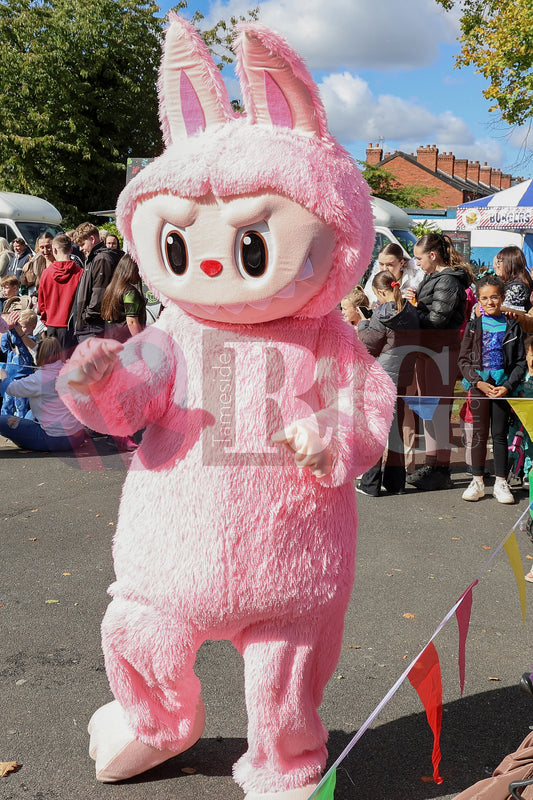 DENTON CARNIVAL 2025 (26).JPG