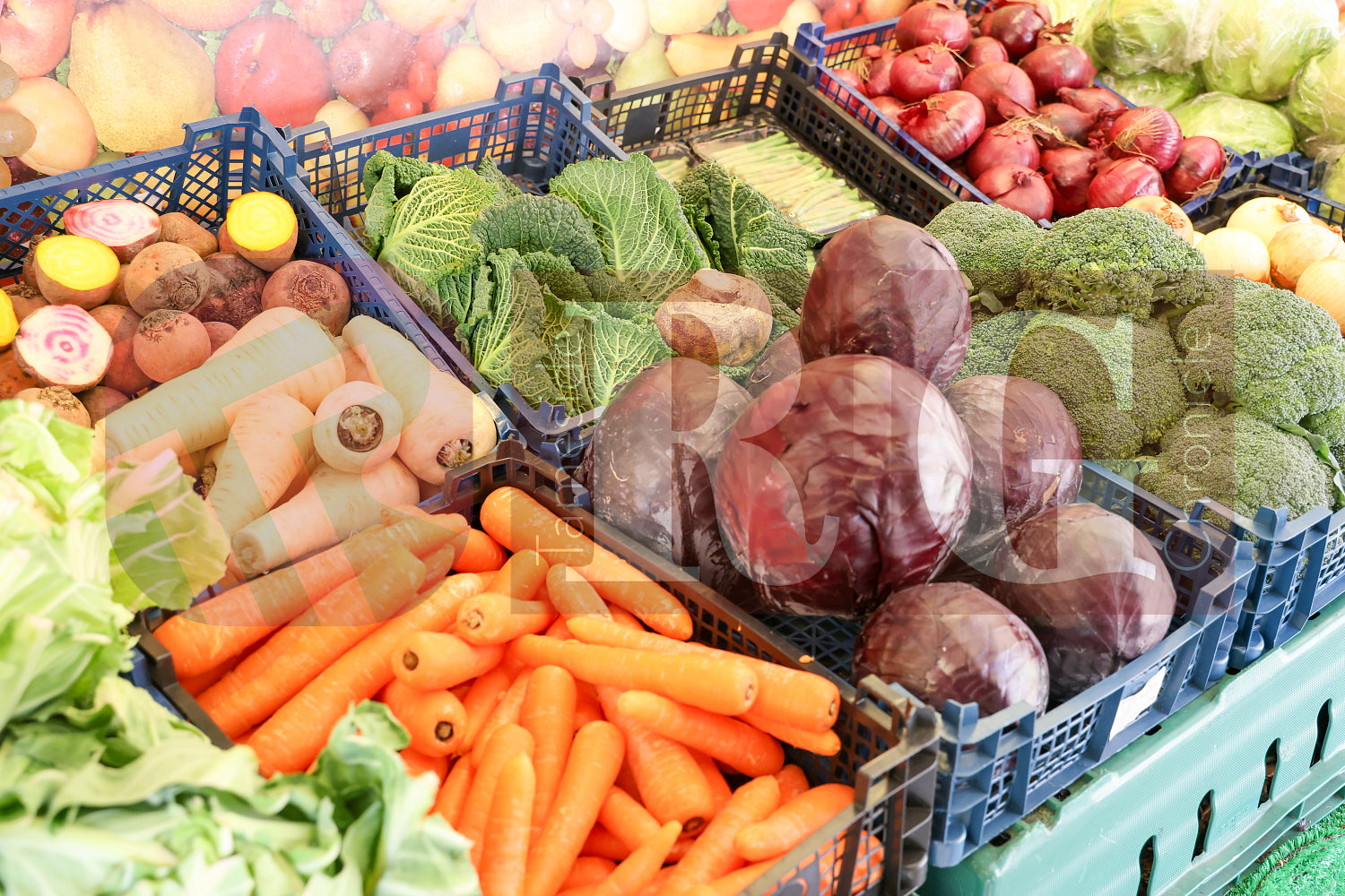 GLOSSOP MARKET 2025 (91).JPG