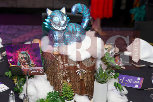 PURPLE HEART WISHES WONDERLAND BALL (32).JPG