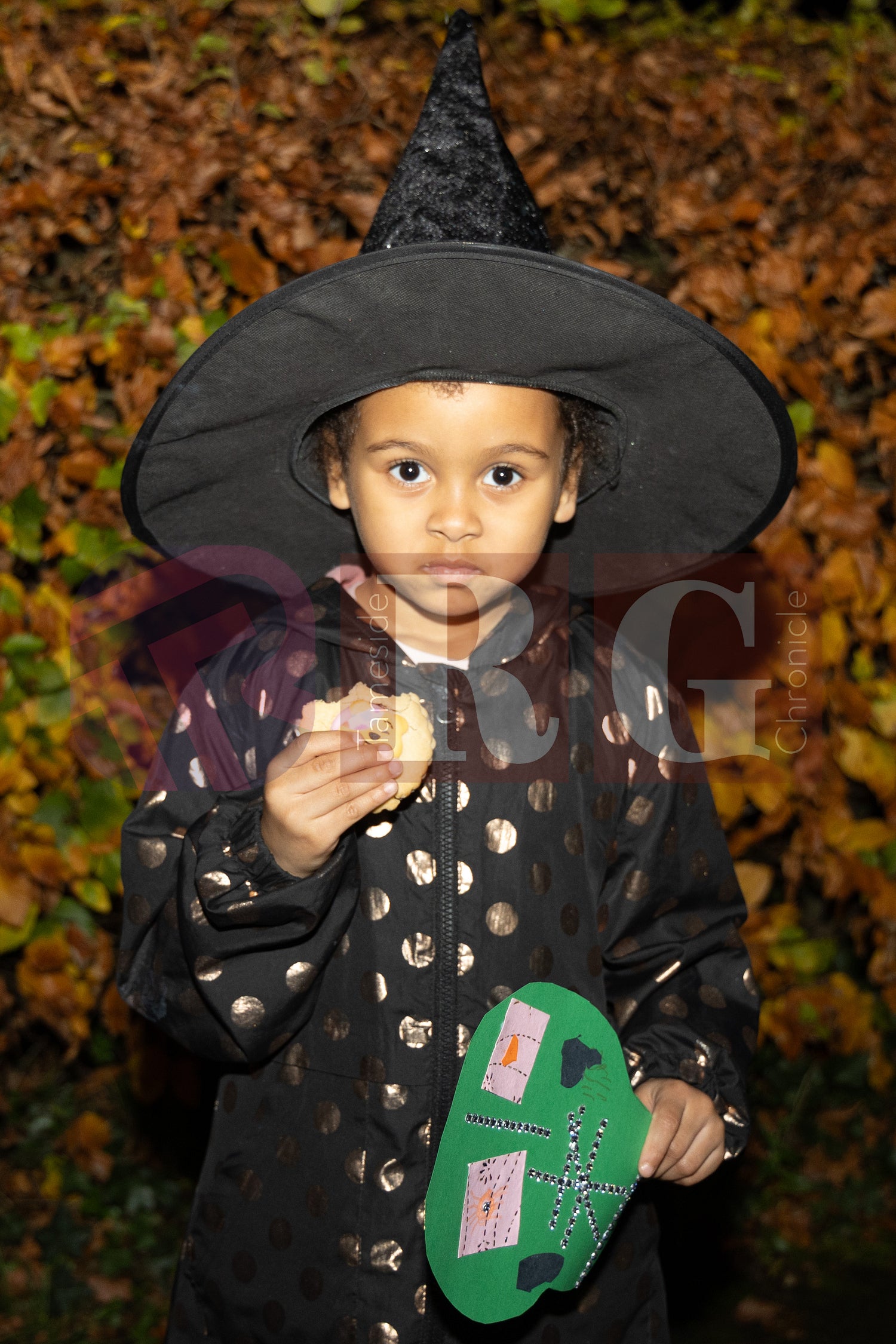 WATERLOO PARK  ASHTON HALLOWEEN  (10).JPG