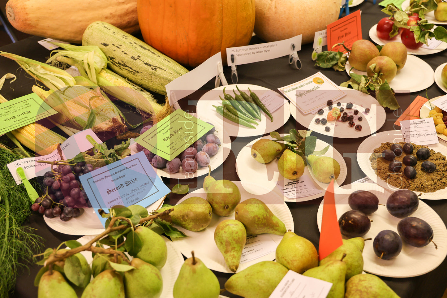 TINTWISTLE GARDENERS SHOW (12).JPG