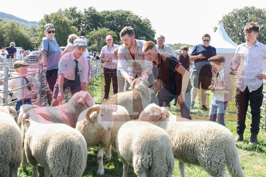 MOTTRAM SHOW  2025 (38).JPG