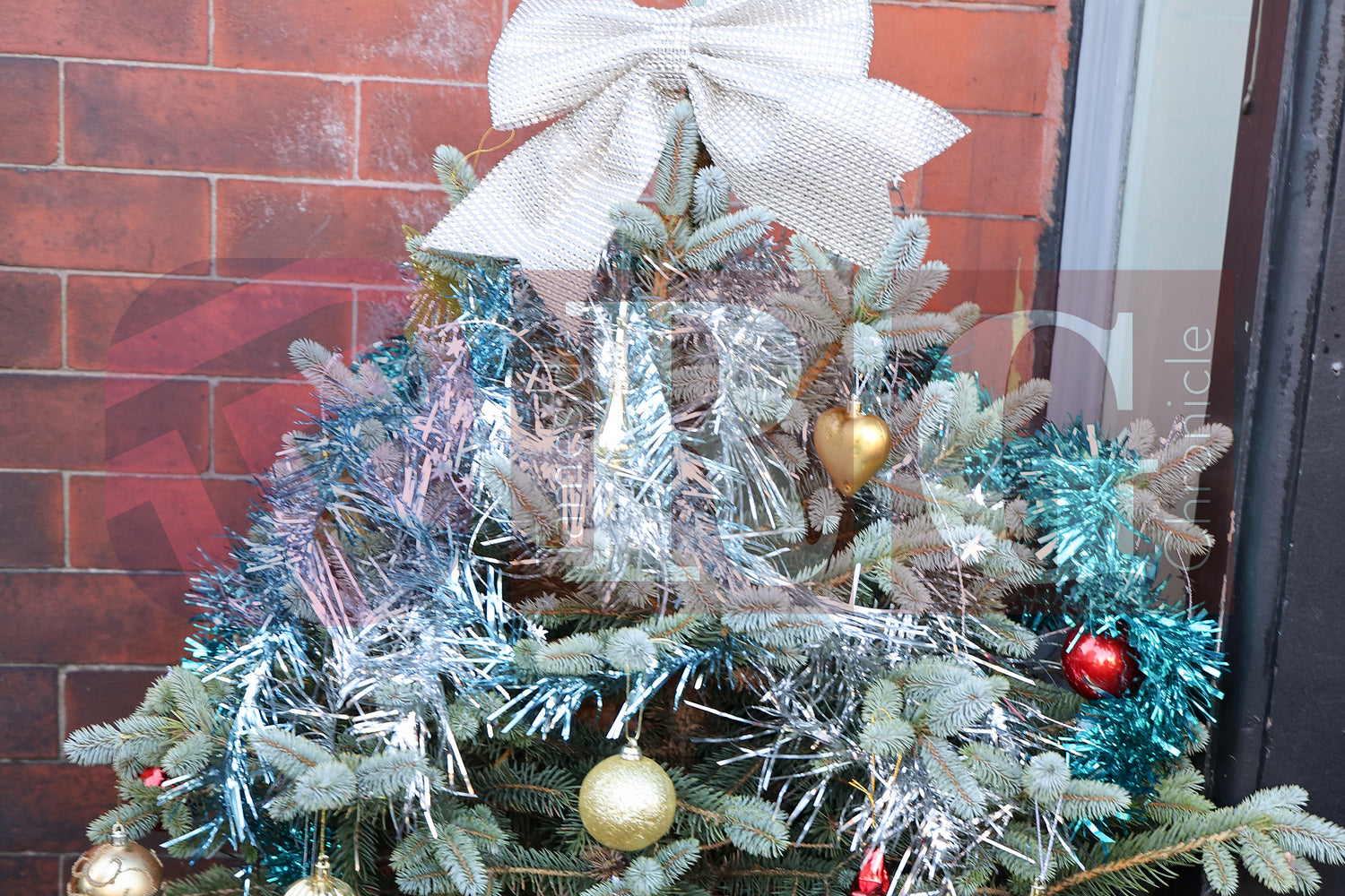 COMMUNITY KITCHEN STALYBRIDGE 2025 (7).JPG