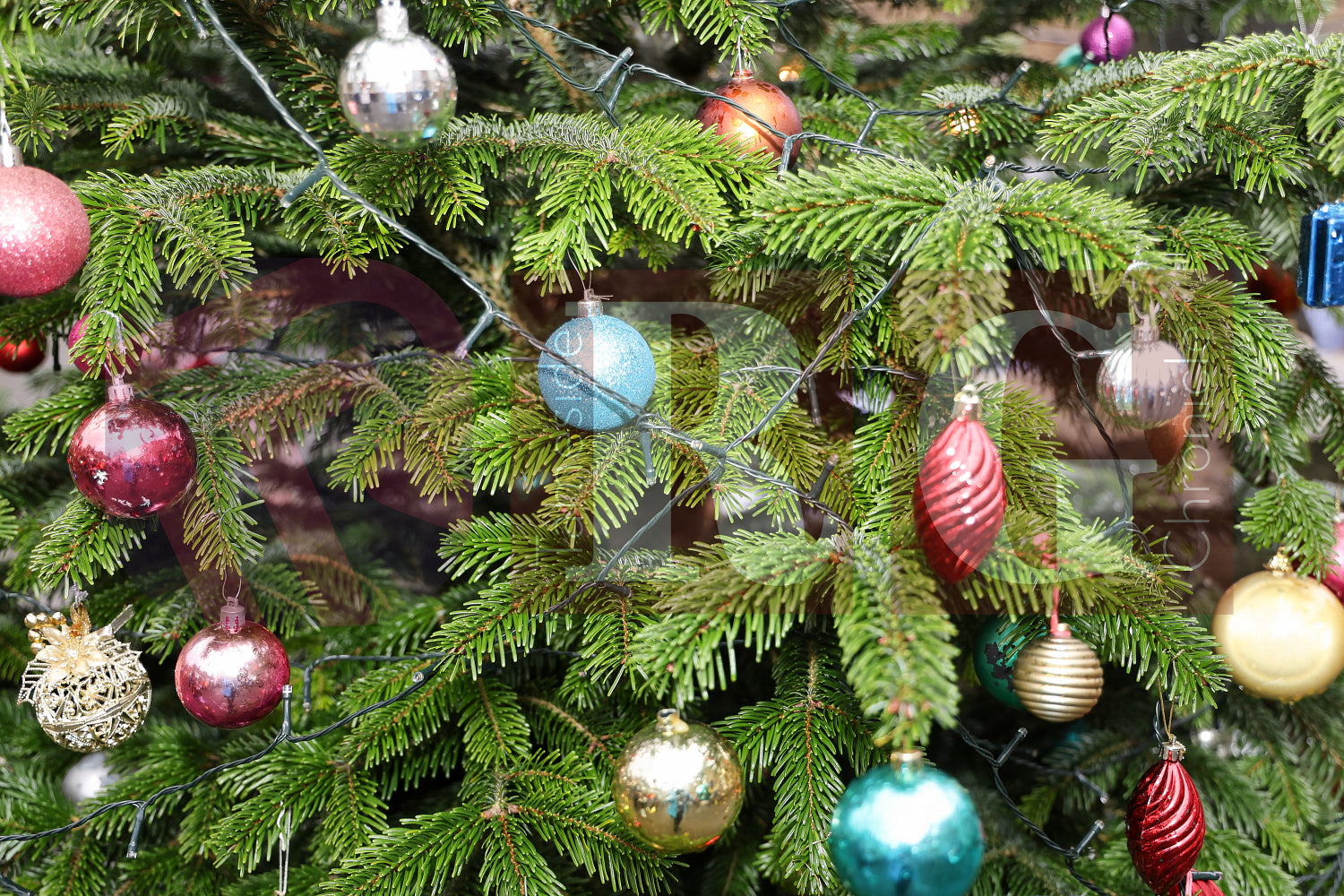 GLOSSOP XMAS  MARKET 2025 (129).JPG