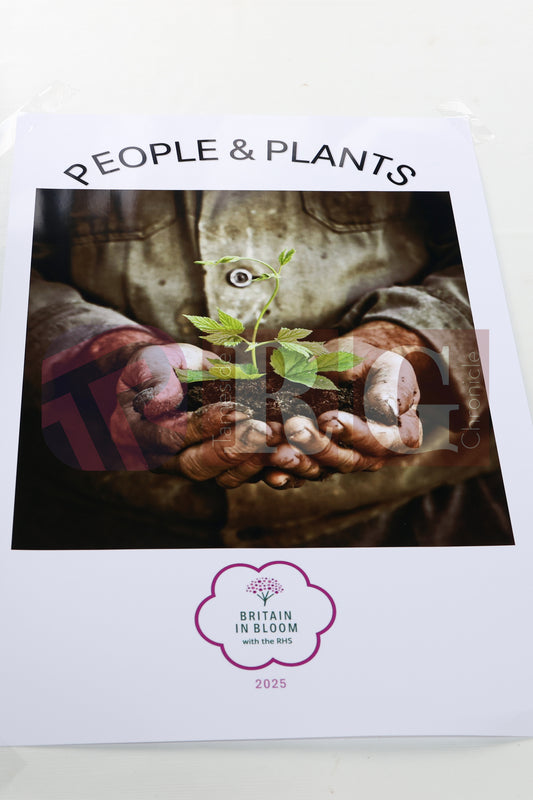 WATERLOO PARK BRITAIN IN BLOOM 2025 (40).JPG