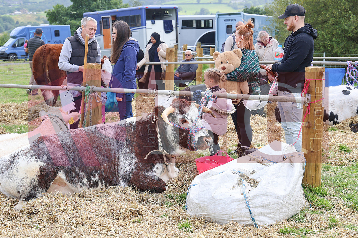 MOTTRAM SHOW 2024 (121).JPG