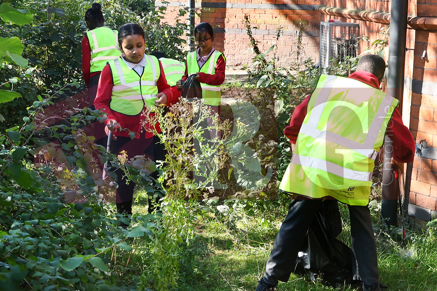 JIGSAW COMMUNITY LITTER HUB (18).JPG