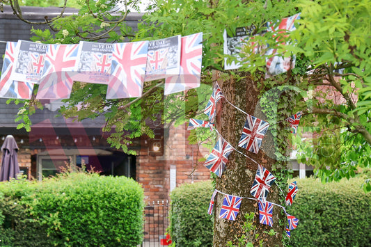 VE DAY THE COMMUNITY GARDEN DUKINFIELD (34).JPG