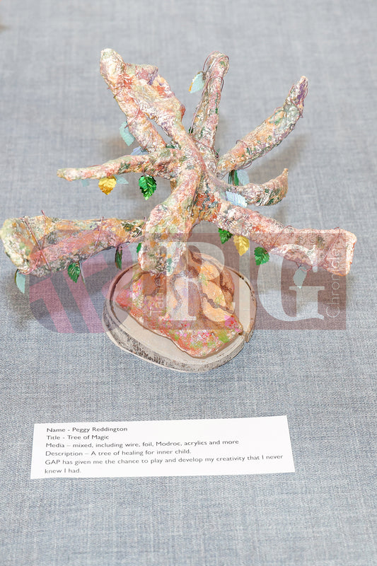 VICTORIA HALL ART GALLERY 2025 (28).JPG