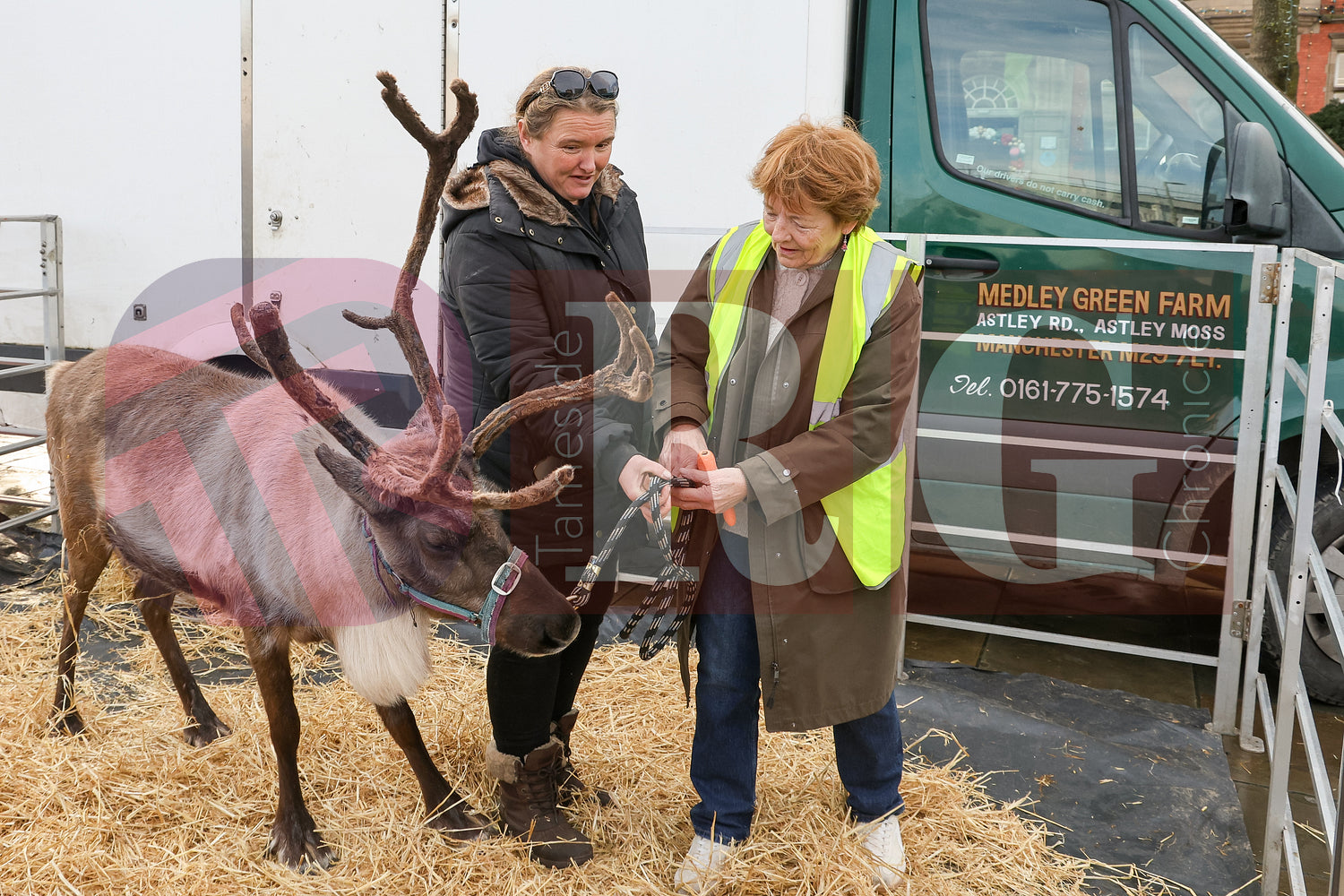 HYDE CHRISTMAS 2025 (36).JPG