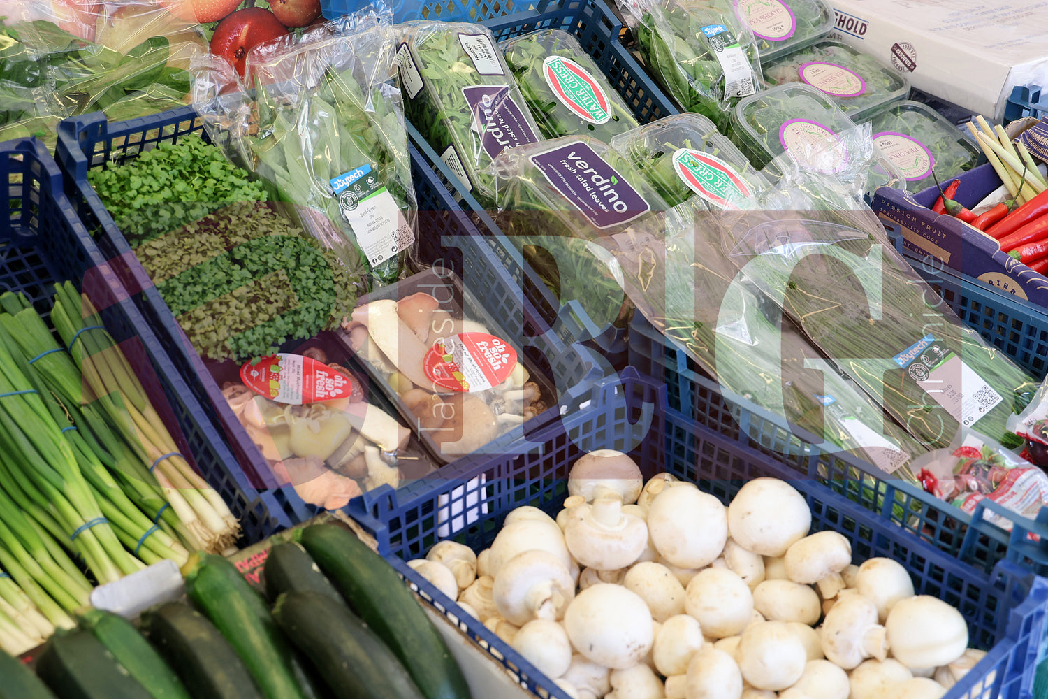 GLOSSOP MARKET 2025 (94).JPG