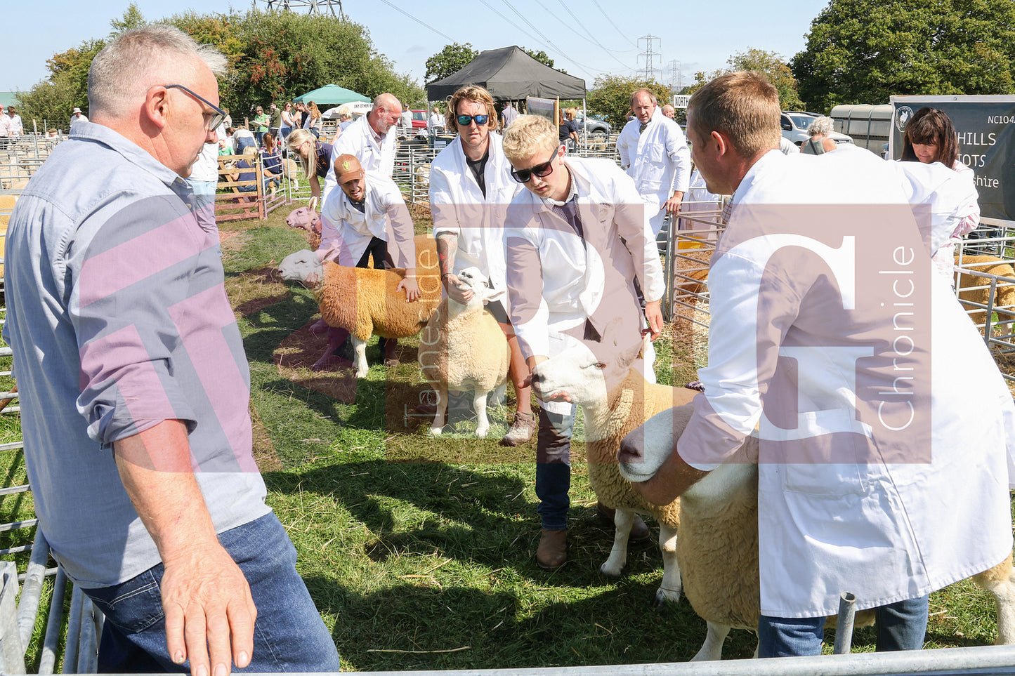 MOTTRAM SHOW  2025 (51).JPG