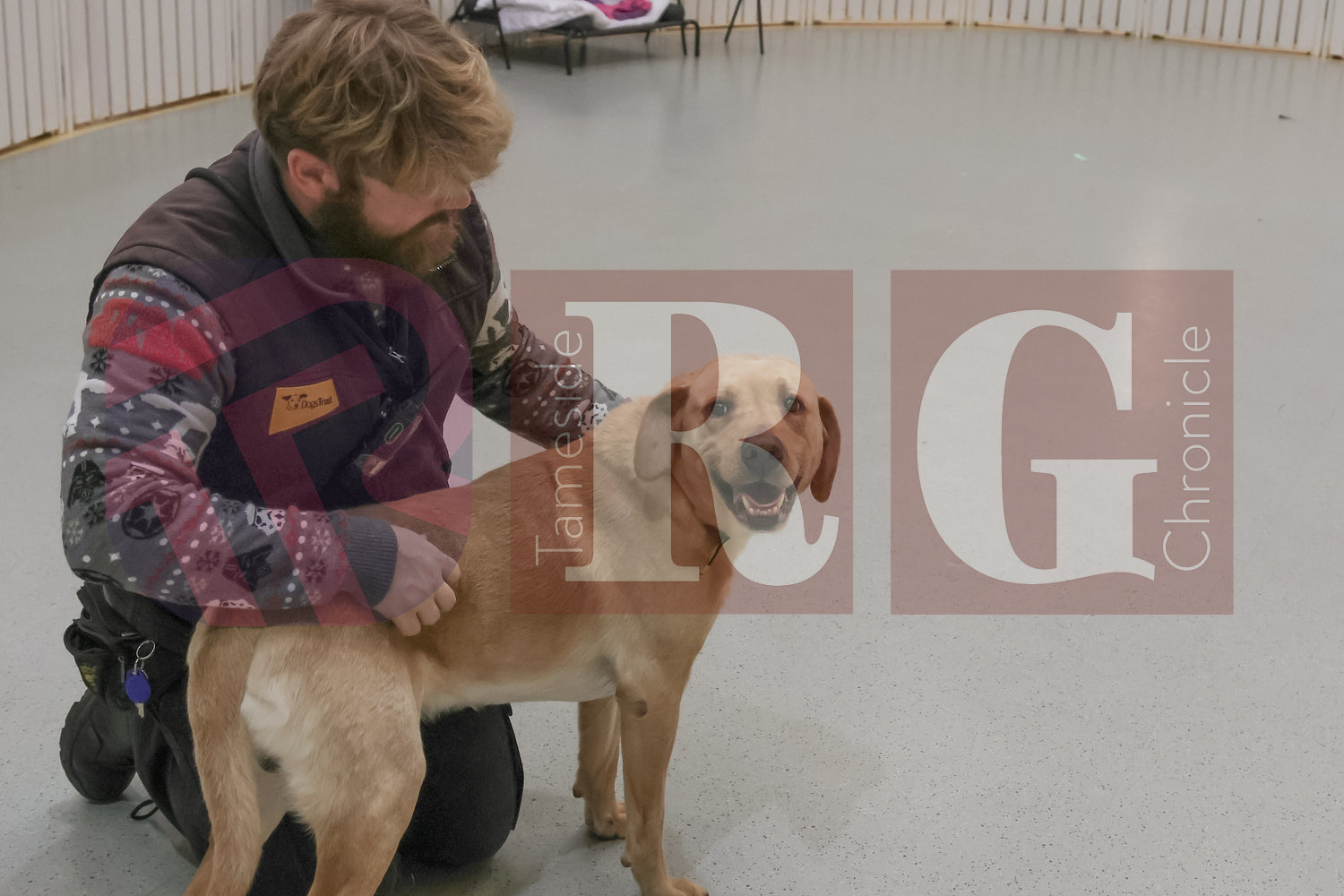 DOG TRUST DENTON JUMPER EVENT (10).JPG
