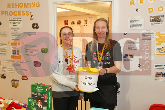 DOG TRUST DENTON XMAS (9).JPG