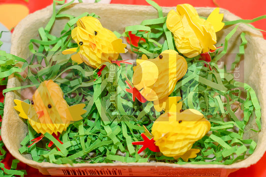 WATERLOO PARK EASTER  (37).JPG